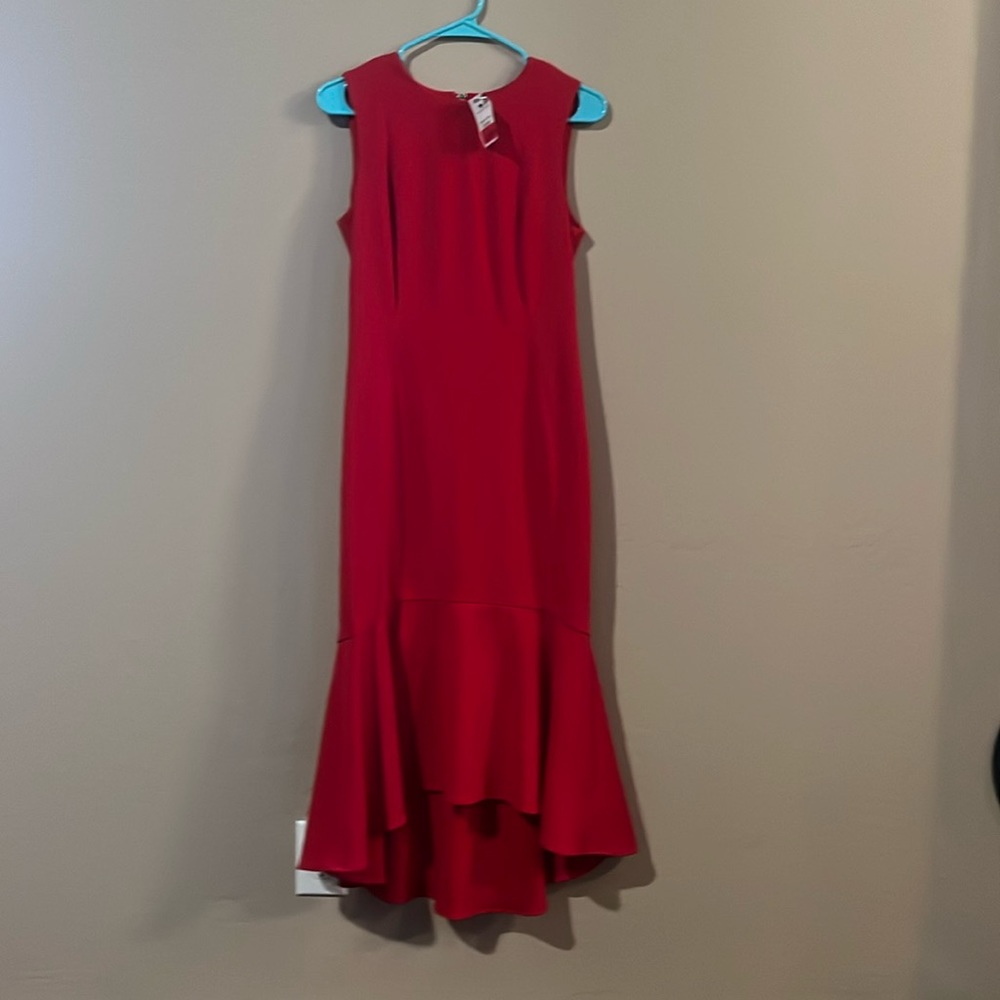 New with tags red dress, zip in back